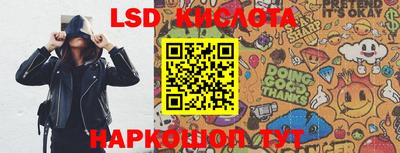 a pvp Гатчина
