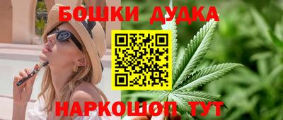 гидра Гагарин