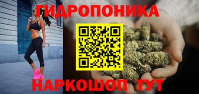гидра Гагарин