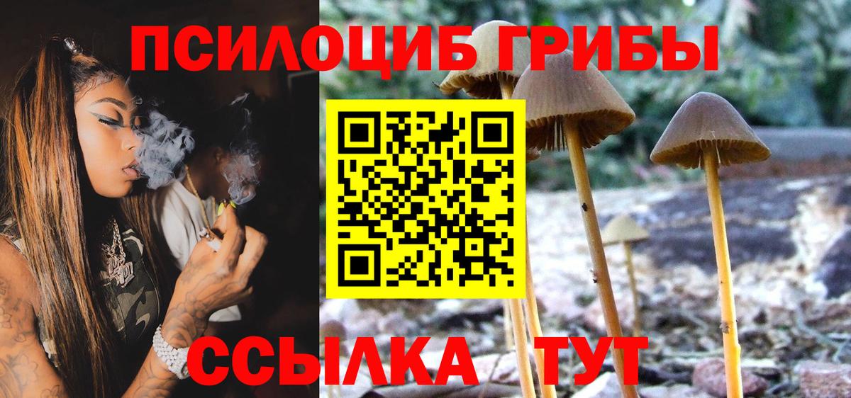 Псилоцибиновые грибы ЛСД  Медногорск 